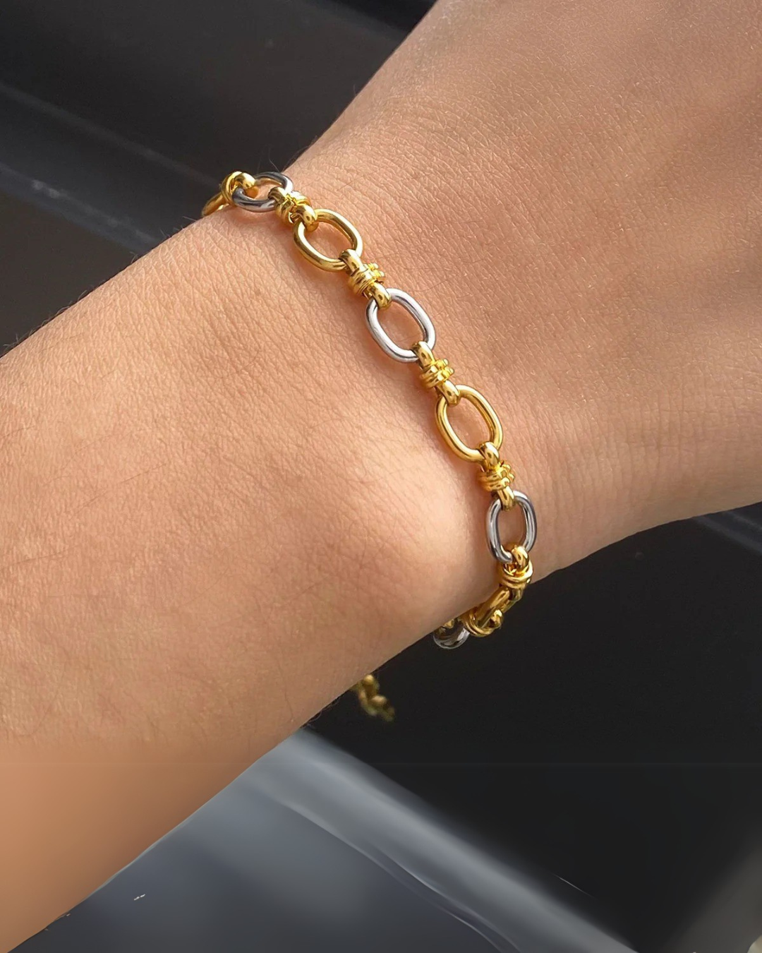 Addison Chain Bracelet and Necklace Two-Tone Stainless Steel Serenyah